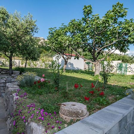 Villa Carmen Draga Bašćanska Dış mekan fotoğraf
