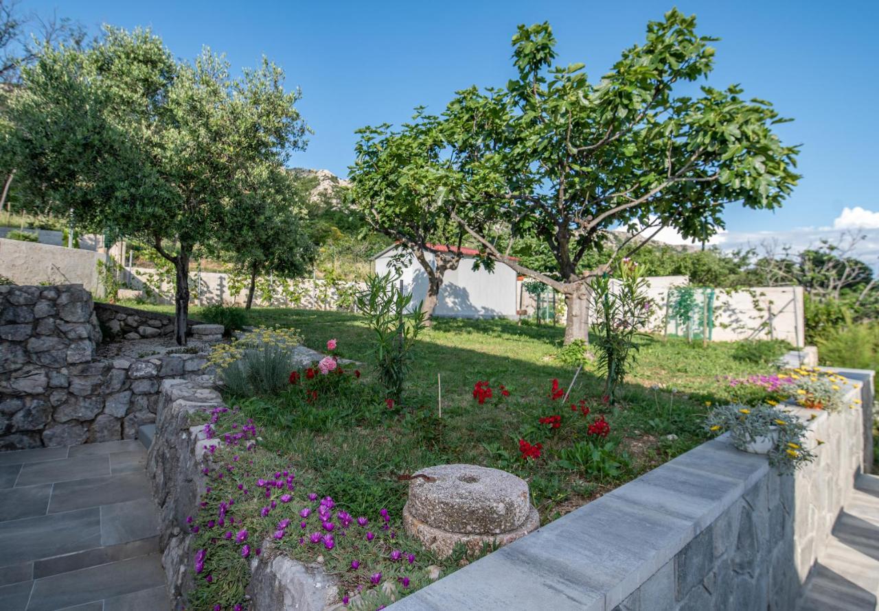 Villa Carmen Draga Bašćanska Dış mekan fotoğraf